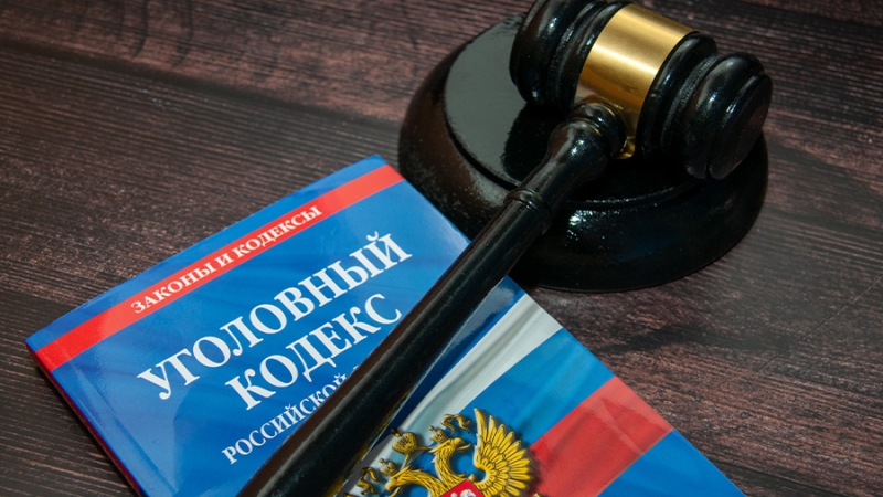 В Смоленской области осудили планировавшего поджог диверсанта на 12,5 лет