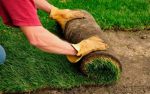 Укладка рулонного газона – как выбрать газон, когда и как происходит укладка