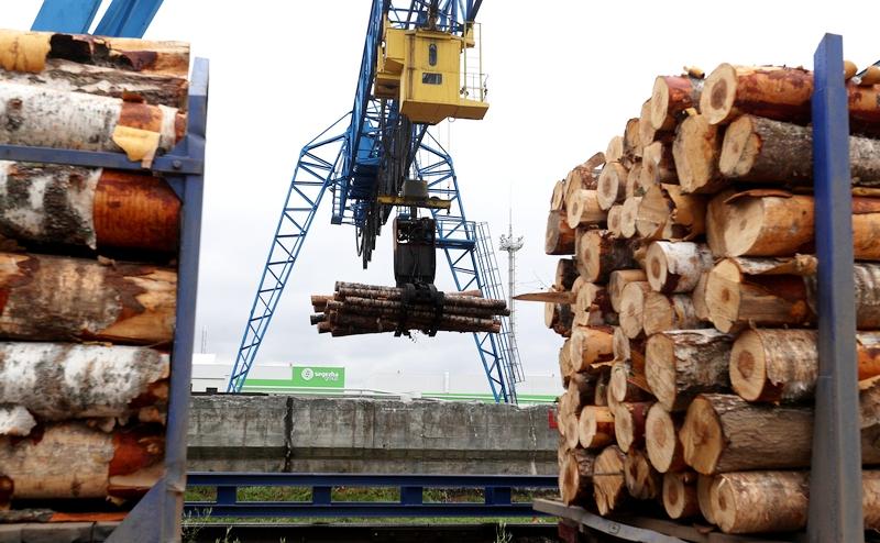 Обитатели завтрашних финских степей мечтают о прилете русской фанеры