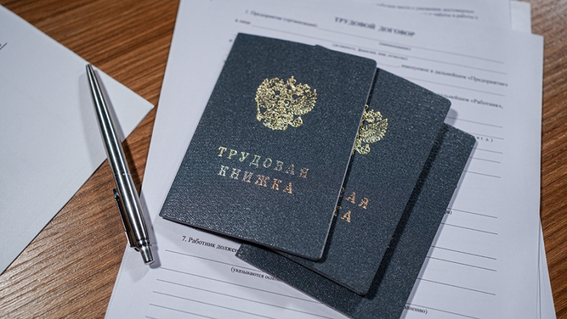 Россиян предупредили о новой схеме мошенничества при попытке трудоустройства