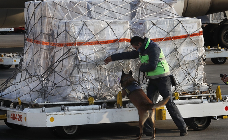 СВО против Мексики — почему нет? А Канаду Трамп будет бить иначе, у него свой метод есть