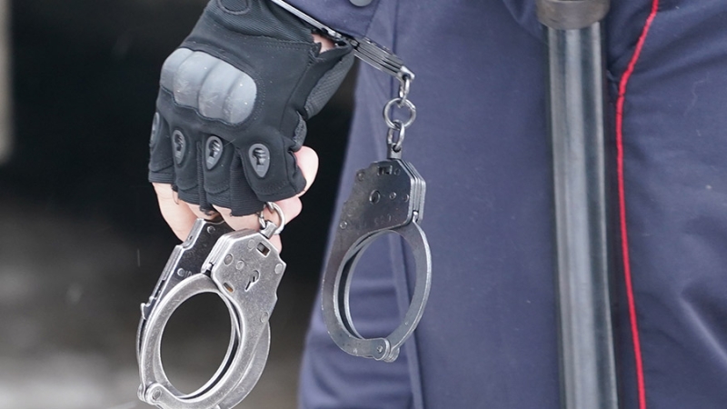 Полиция Москвы задержала 14 человек за продажу БАД под видом лекарств
