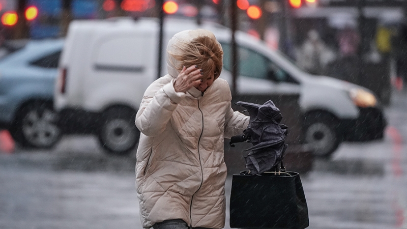 В Москве до конца дня ожидается ветер с порывами до 15 м/с