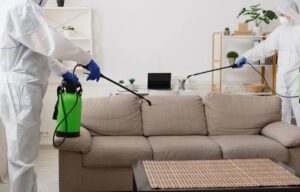 Чистота и безопасность: профессиональные услуги по уничтожению вредителей и обеззараживанию