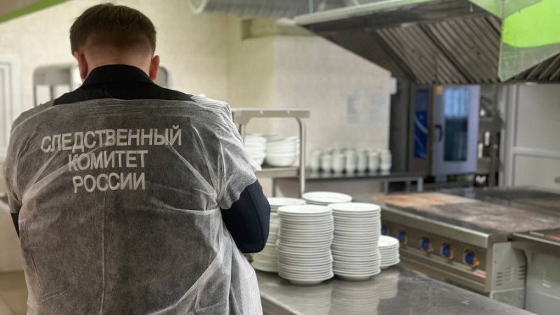 Дело возбуждено после массового заболевания учащихся гимназии в Чувашии
