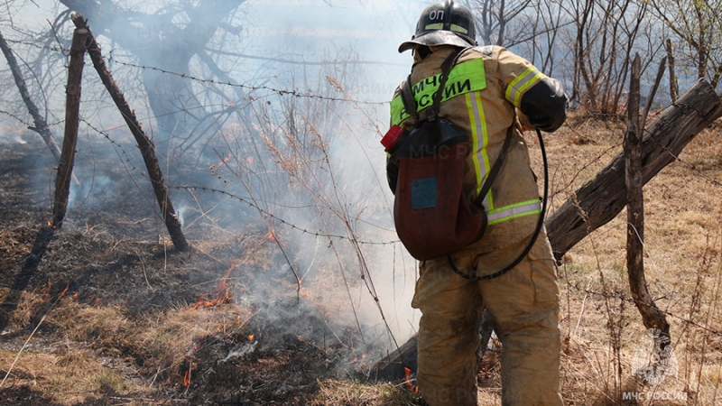 Общая площадь пожаров в Амурской области составила более 3 тыс. га