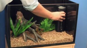 Аквариум для начинающих: как выбрать, купить и запустить правильно